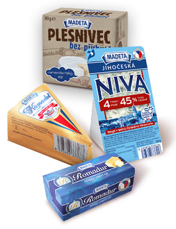 Plísňové sýry